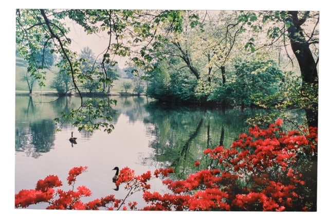 Robin Constable Hanson Mural Size Photgraph: Robin Constable Hanson, Niece of Ansel Adams, Mural Size Photograph on Board of Garden on Lake. Measures 40 inches x 60 inches.