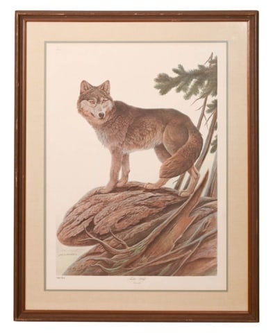 John Ruthven Signed Numbered Print of Timber Wolf (1 of 11)