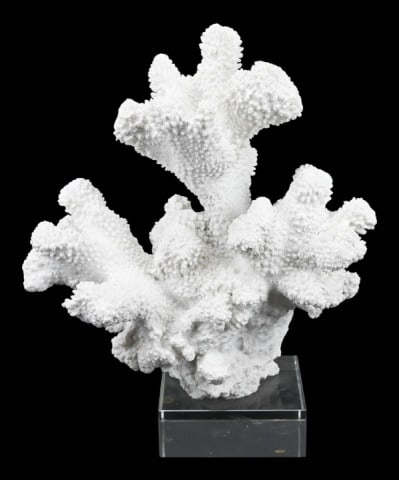 Faux White Coral Statue on Lucite Base: Faux White Coral Statue on Lucite Base. Measures 12 inches x 10 inches x 7 inches.
