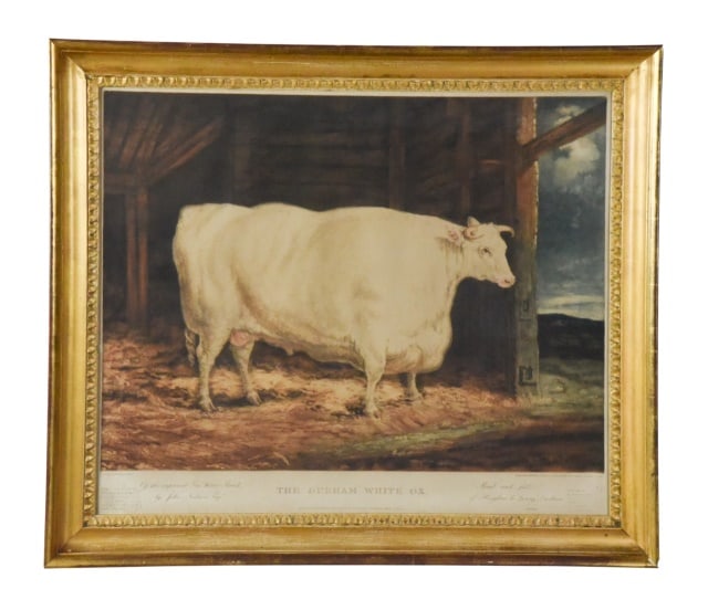18th C. Garrad & Ward Engraving Durham White Ox: 18th C. Garrad & Ward Engraving Durham White Ox in Period Frame. Measures 25 inches x 28 inches.