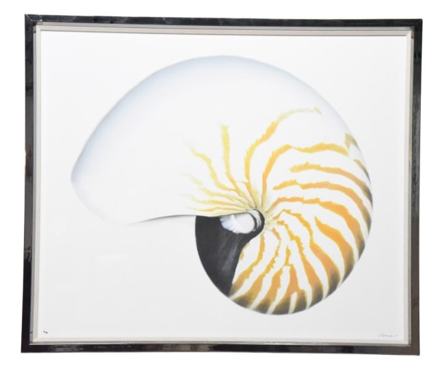 Trowbridge Galleries Pip Bloomfield Nautilus Shell: Trowbridge Galleries Pip Bloomfield Nautilus Shell Giclee Signed and Numbered 24/50.Frame measures 43 inches x 50.25 inches.Art measures 39 inches x 46 inches.