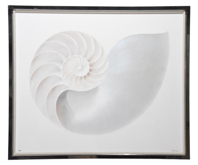 Trowbridge Galleries Pip Bloomfield Nautilus Shell: Trowbridge Galleries Pip Bloomfield Nautilus Shell Giclee Signed and Numbered 38/50.Frame measures 43 inches x 50.25 inches.Art measures 39 inches x 46 inches.Retail price marked at $2,950.