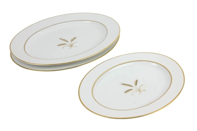 Rosenthal Germany Dinner Service pattern Bountiful - 5