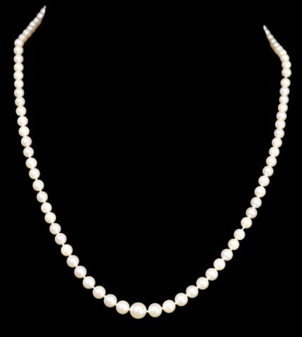 14K Yellow Gold Graduated Pearl 20 Inch Necklace: 14K Yellow Gold Graduated Fresh Water Pearl 20 Inch Necklace.