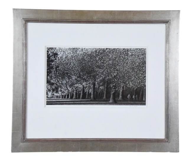 Dominic Boyse signed Serigraph Park Scene: Dominic Boyse signed Serigraph Park Walking Scene Professionally Framed. Framed measures 24 inches x 28 inches, art measures 11 inches x 17 inches.
