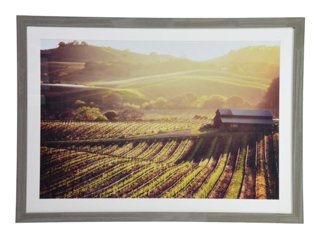Framed Print "Carneros Barn" by Lance Kuene