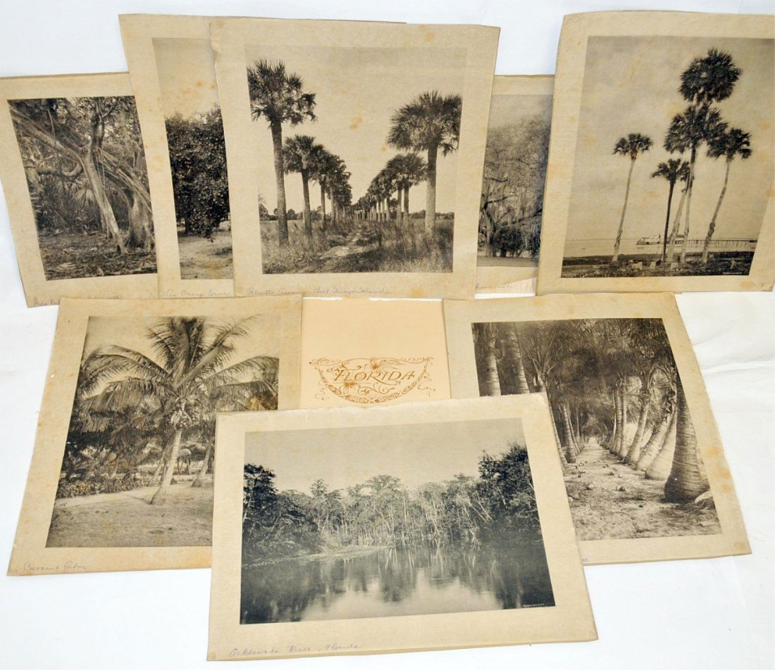 EIGHT Albertypes of Florida from 1892: Set of eight antique Albertypes of Florida from 1892. These are photographs printed from a gelatine plate produced by means of a photographic negative. These prints are on onionskin with craft paper b