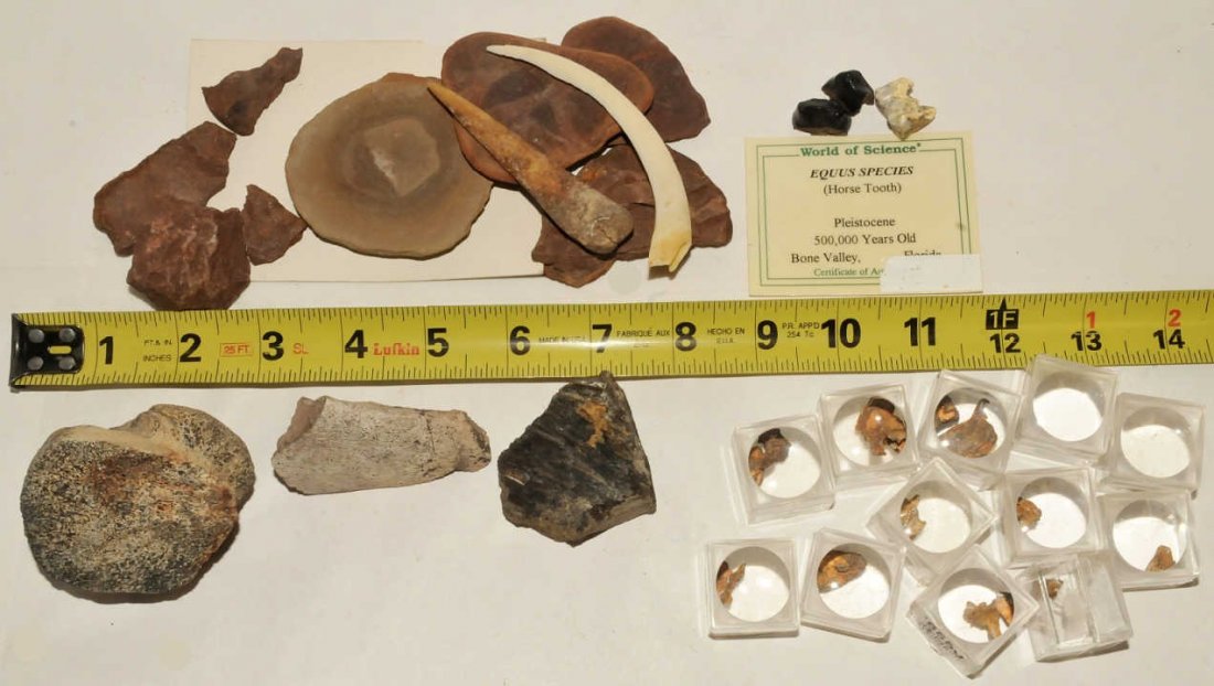 Large Collection of Meteorites & Fossils: Lot of meteorites and fossils from a larger collection. Lot includes ten one-square-inch magnifier boxes, each with at least one small piece of iron meteorite "shrapnel." Lot also includes two claw-fi