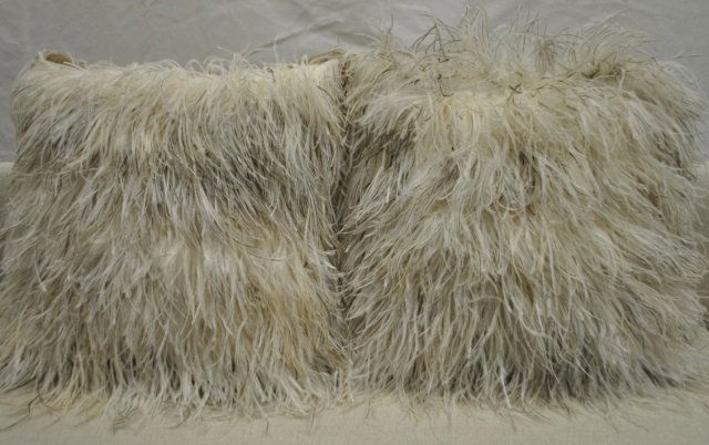 Pair Dransfield & Ross Ostrich Feather Pillows: Pair of Dransfield & Ross, New York, decorative ostrich feather pillows. Camel velvet back with zippered opening. Down and feather insert. 14" square. Very good condition.