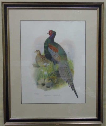 J Wolf & Smit - Lithograph of 2 Pheasants 285/500 (1 of 6)