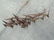 Mid Century Modern Garden Bird Sculpture - 2