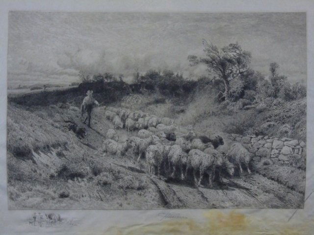 Peter Moran - 19th C Landscape w/ Sheep: Peter Moran - 19th C Landscape w/ Sheep. Original painting by Peter Moran. Showing a dirt road with rock wall and a herd of sheep. Pencil signed, dated 1888, printed on vellum. Image measures 14.5 by