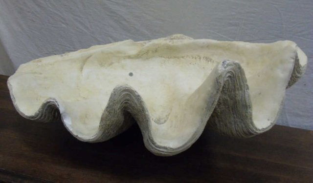 Very Large Natural Clam Shell / Decorative Bowl (1 of 5)