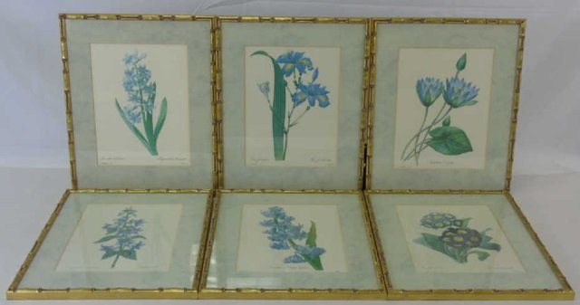 6 Framed Antique Botanical Blue Flower Prints (1 of 7)