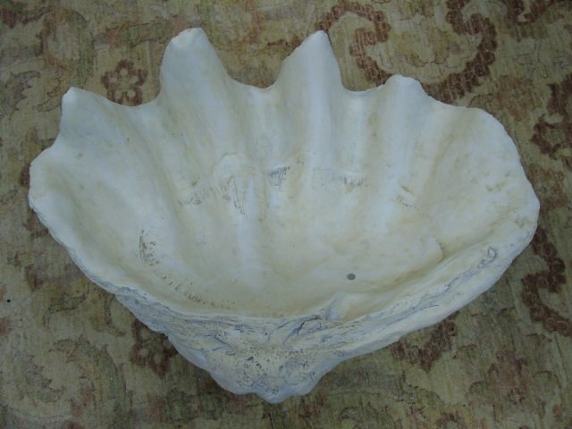 Very Large Clam Shell Cast Plaster Decorative Bowl (1 of 3)