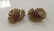 Estate Tiffany & Co Diamond & Ruby Floral Earrings