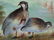 Antique Painted A Heidrich Donath Studio Platter - 3