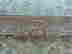 item-45320894=2