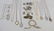 Large Group of Vintage Costume Jewelry Items