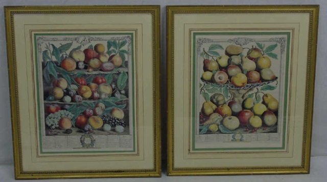 Pair 1732 Framed Hand Colored Botanical Prints (1 of 3)