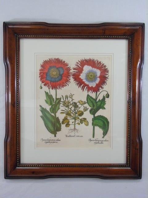 Large Contemporary Botanical Floral Print (1 of 4)