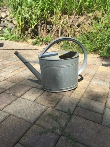 Antique / Vintage Galvanized Metal Watering Can (1 of 2)