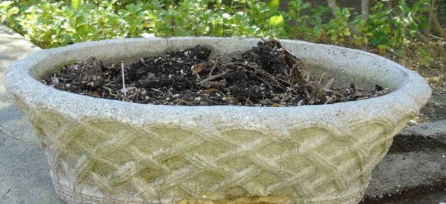 Antique Cast Oval Garden Planter Woven Basket (1 of 2)