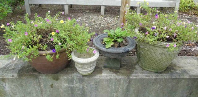 Group of Assorted Vintage Garden Planter Pots (1 of 5)