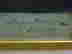 item-48147507=3