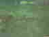 item-48464940=4
