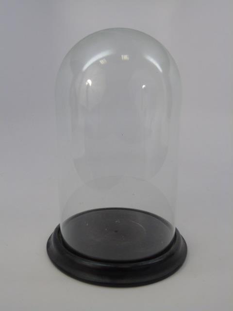 Antique Glass Display Cloche Dome (1 of 2)