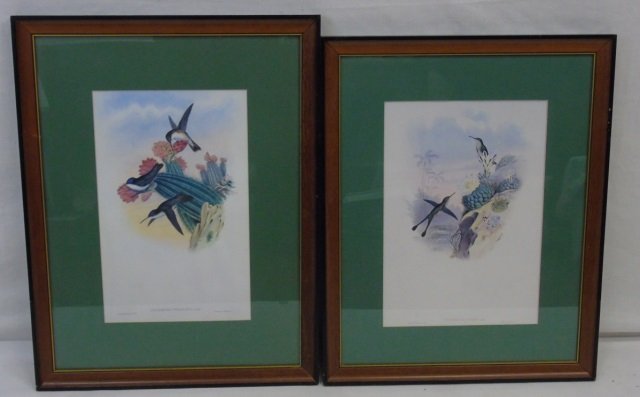 Pair Vintage Ornithological Hummingbird Prints (1 of 7)