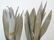 Pr Antique 19th C Pineapple Architectural Finials - 2