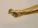 19 C Gilt Bronze Statue Signed L Chalon on Marble - 6