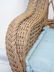 Set of 6 Bent Wood / Wicker Armchairs w Cushions - 2