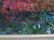 P. Crowell - Bridge Over Stream w Flowers Painting - 2