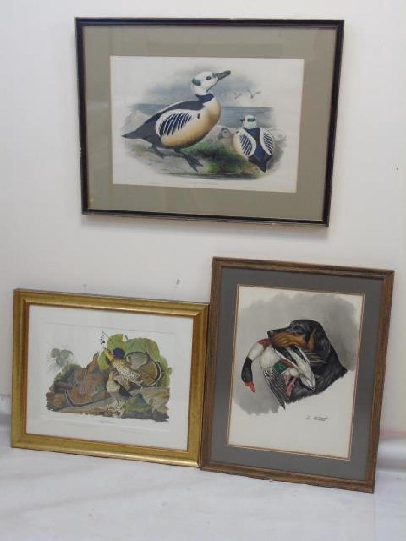 3 Antique Ornithological Prints Duck 1873 & Grouse (1 of 4)
