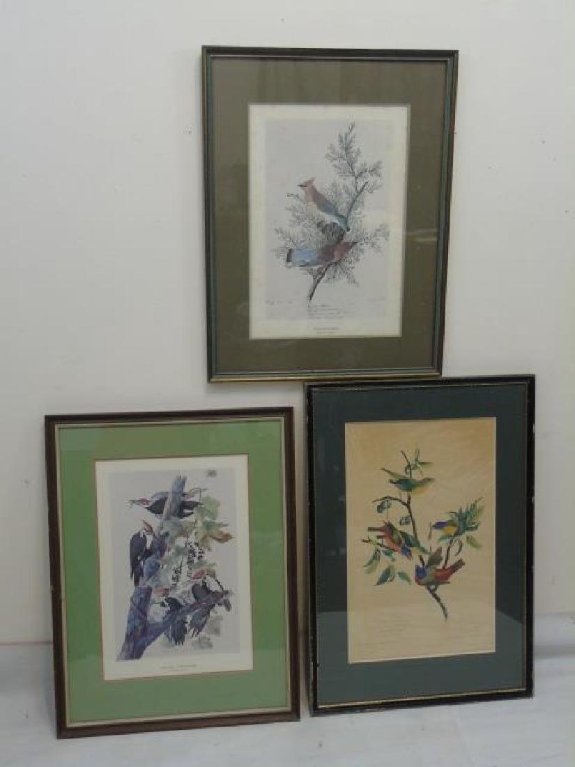 3 Audubon Prints Woodpecker Bunting Waxwing (1 of 4)