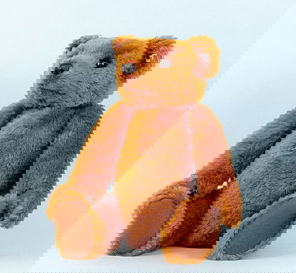 55pb teddy bear