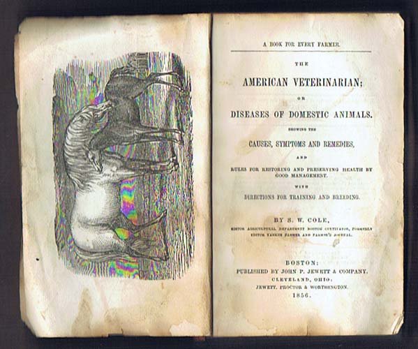 American Veterinarian; Or Diseases Of Domestic Animals,: Cole, S.W.;;John Jewett;Boston;1856;;;leather on spine worn, front cover repaired