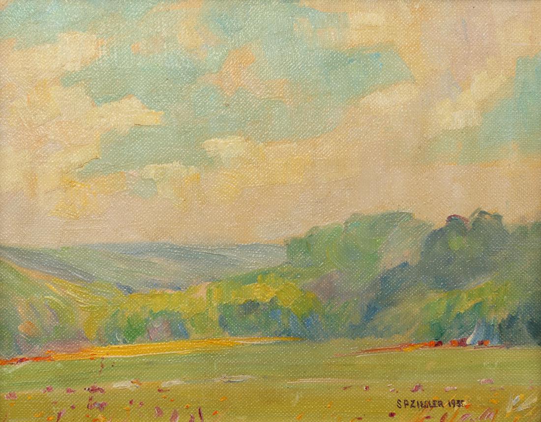 Samuel P. Ziegler (Am. 1882-1967), Landscape, 1935, oil: oil on canvas, 11 x 14, signed lower right: SP Ziegler 1938
