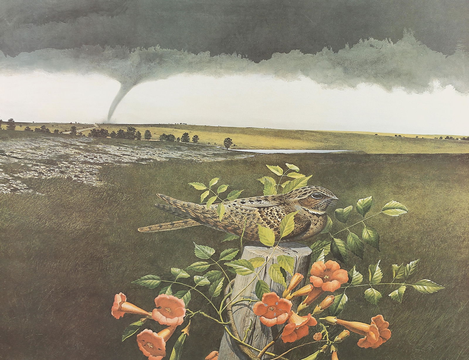 Scott & Stuart Gentling (Am. 20th Cent.), (1 of 1)