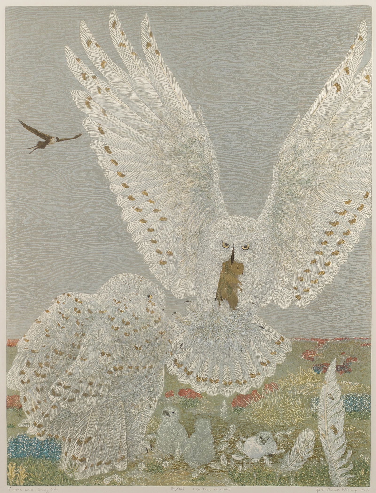 Janet Turner (Am. 1914-1988), Tundra Series: Snowy (1 of 1)