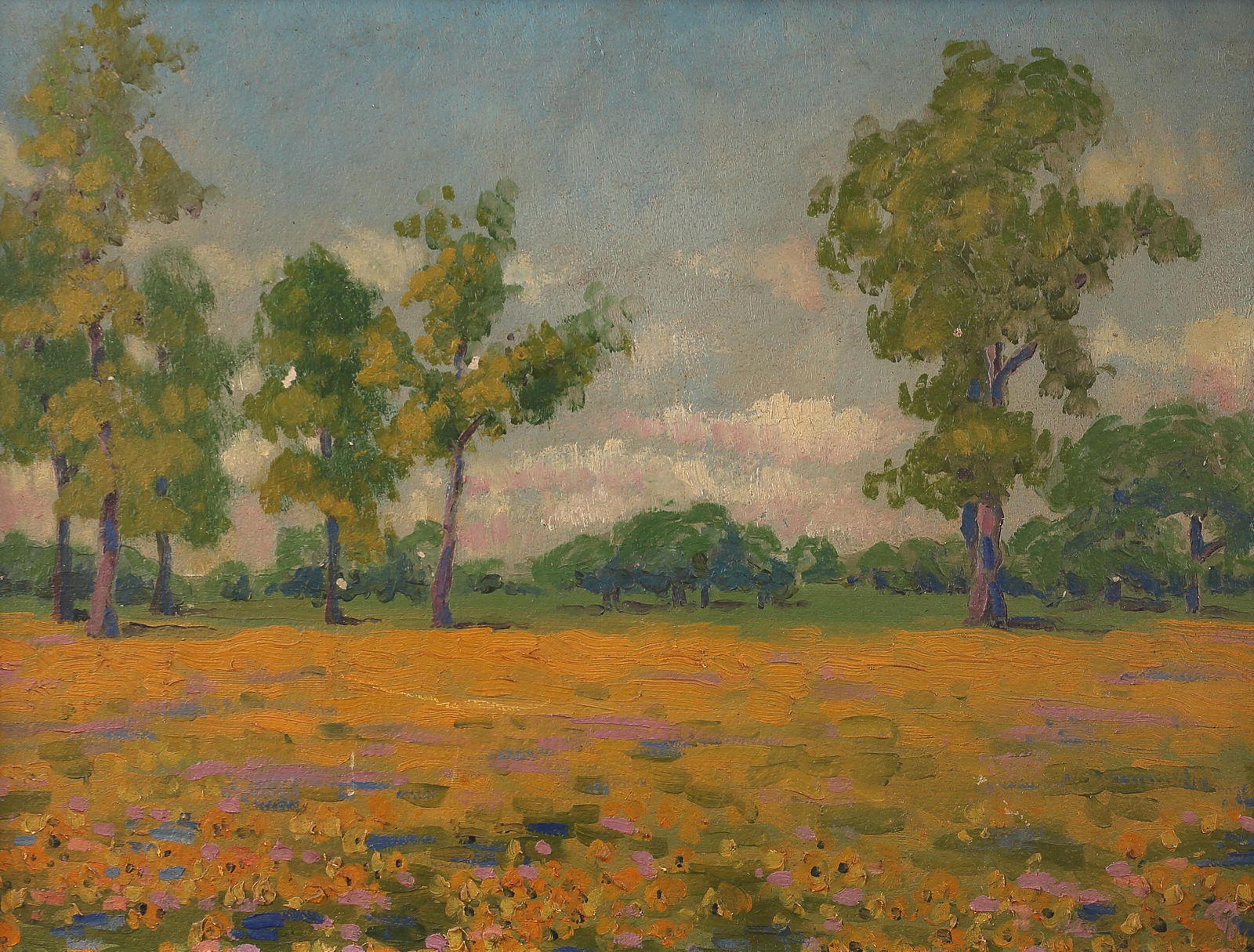 Polly Hoffman (Am. 1890-1949), Coreopsis, oil on board: Coreopsis, oil on board, 12 x 15 3/4, signed lower right: Polly Hoffman