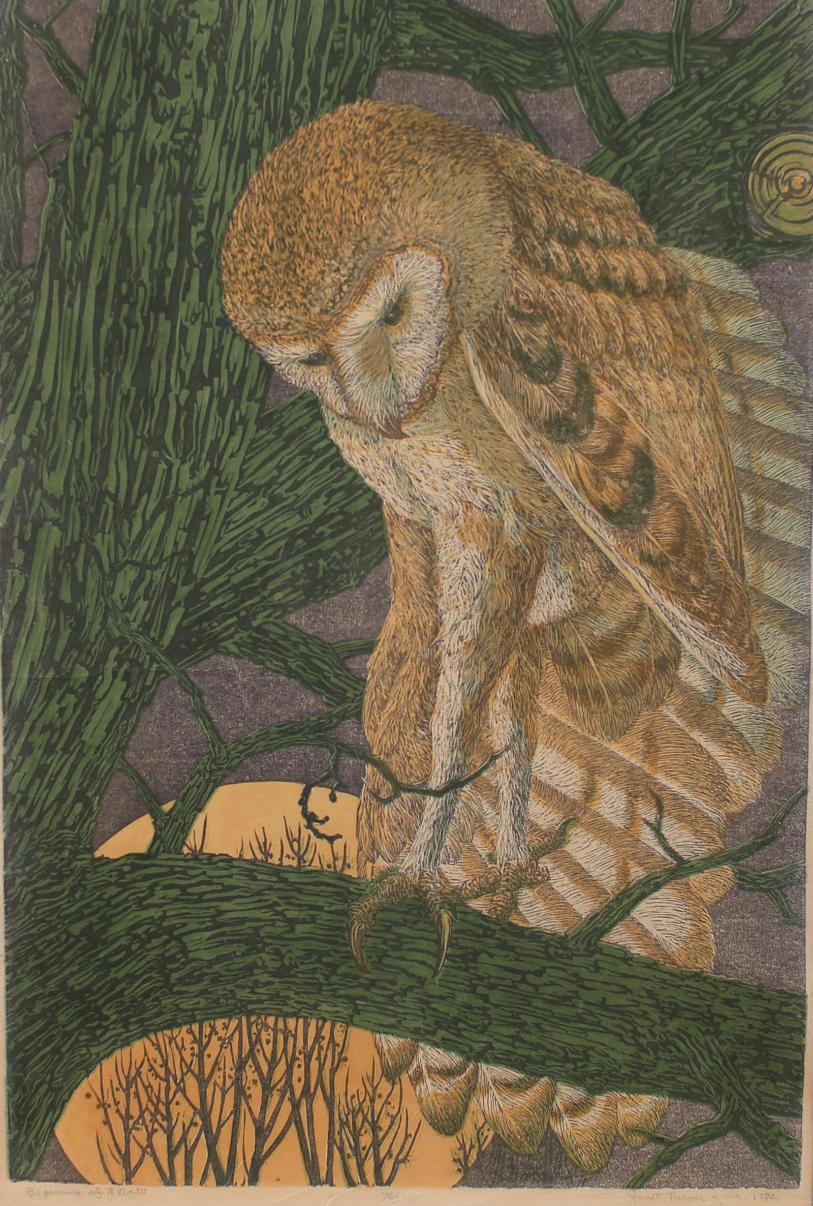 Janet Turner (Am. 1914-1988), Beginning of Flight, ed. 76/80, 1982 (1 of 1)