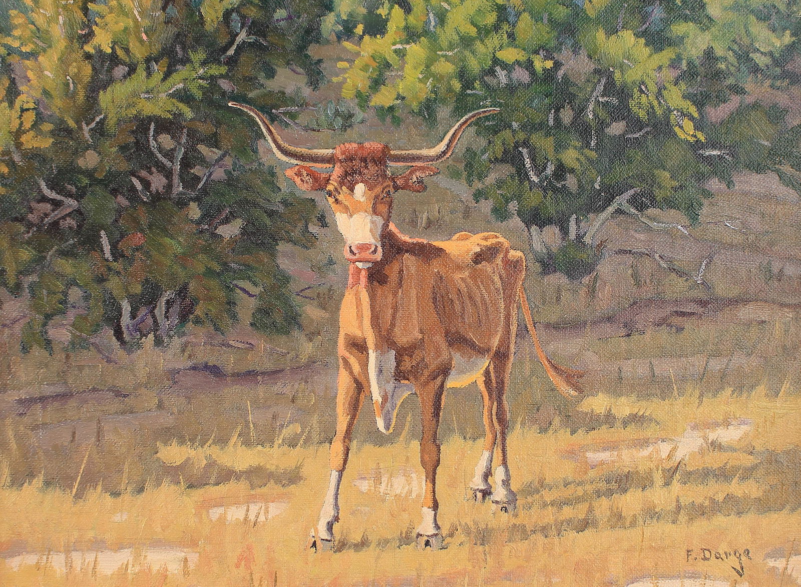 Fred Darge (Am. 1900-1978), Texas Longhorn (1 of 1)