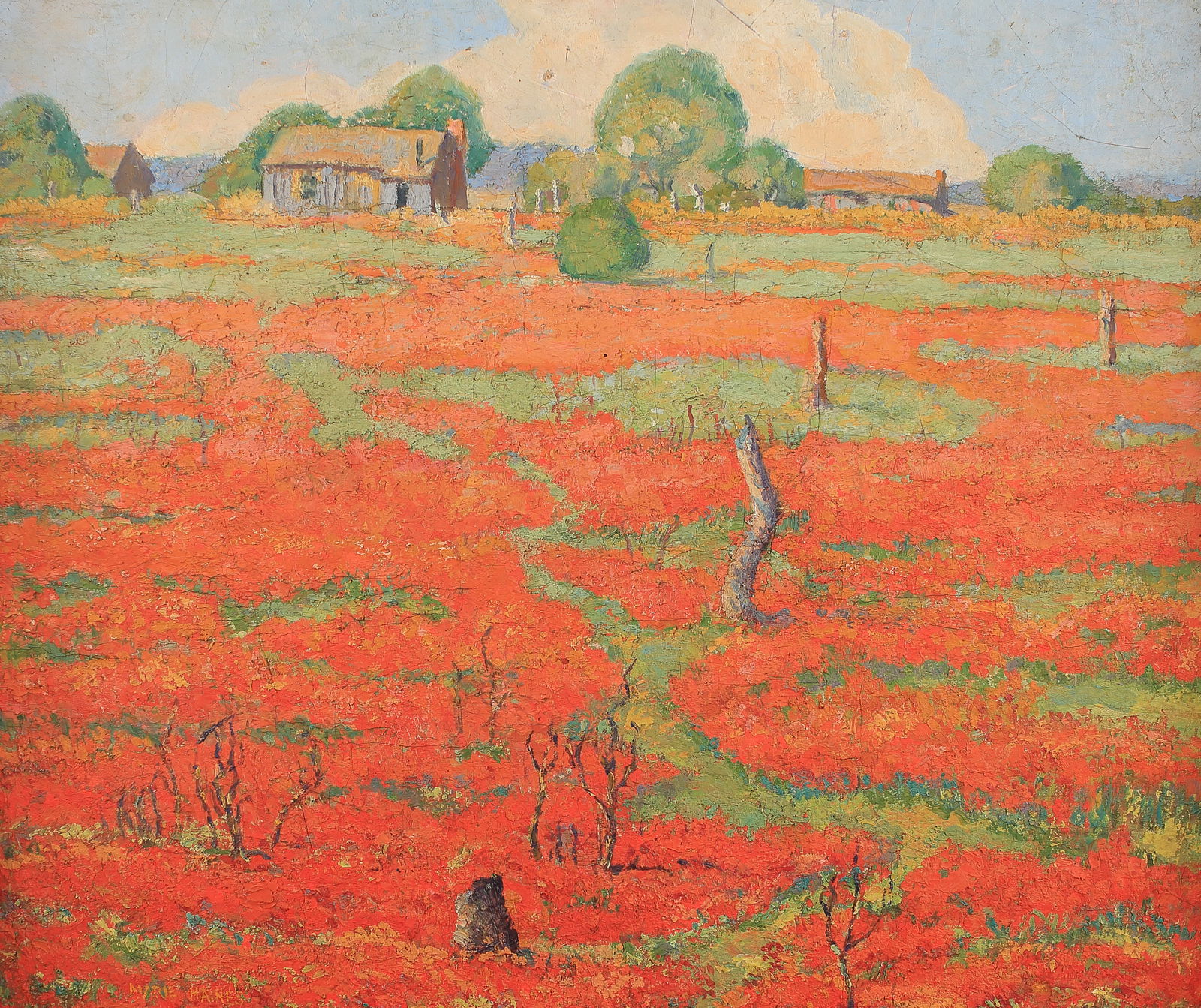 Marie Haines Burt (Am. 1881-1979), Texas Wildflower Landscape, oil on board (1 of 1)
