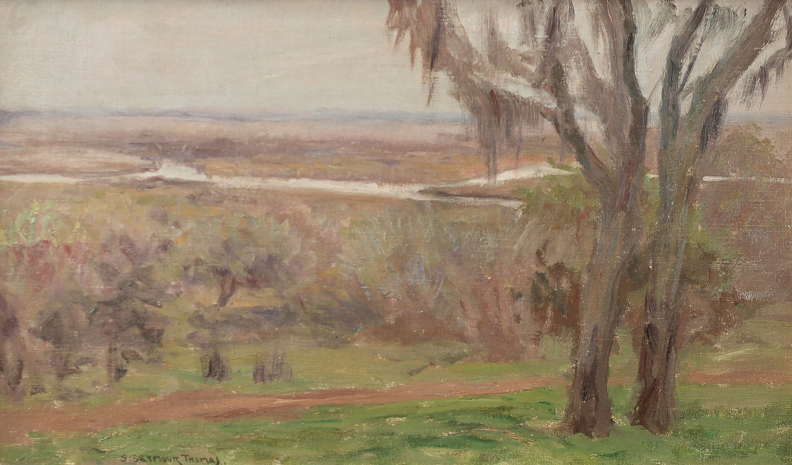 Stephen Seymour Thomas (Am. 1868 - 1956), Texas Moss and Tree, oil on canvas (1 of 1)