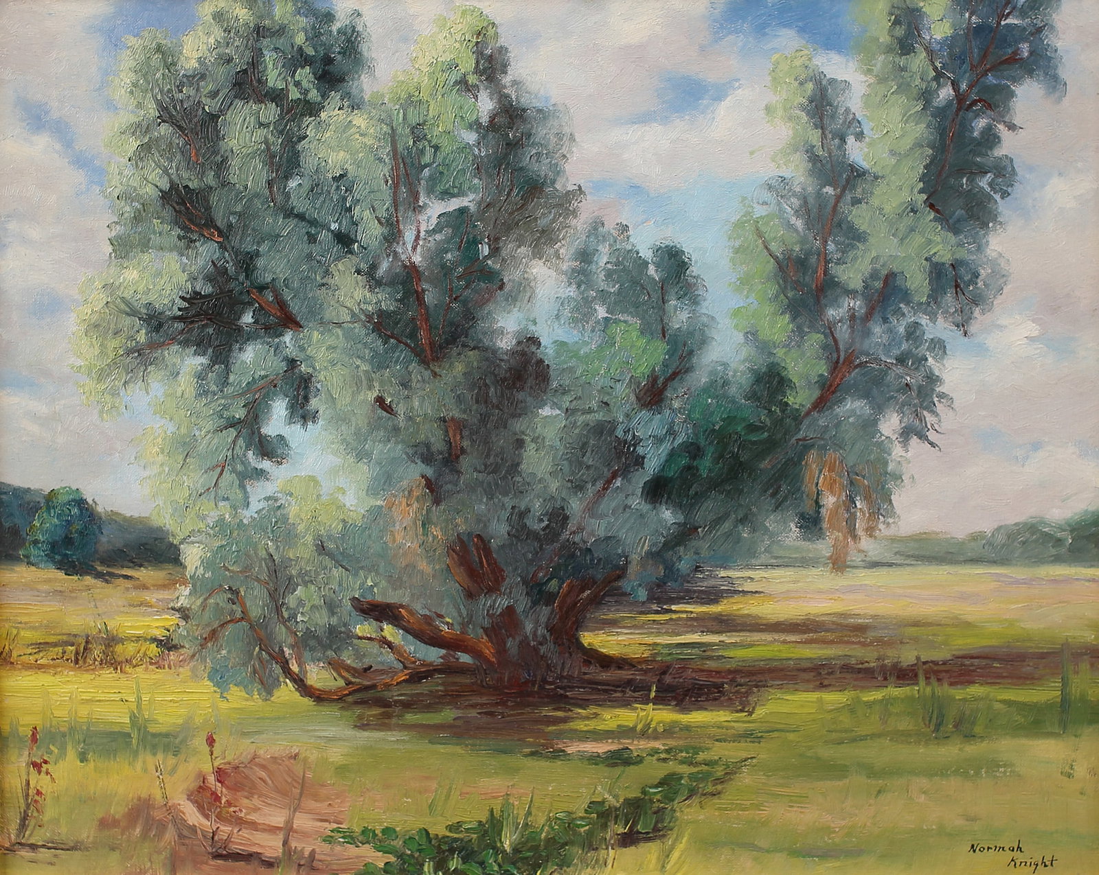Normah Knight (Am. 1910-2005), Big Tree, oil on canvasboard: Big Tree, oil on canvasboard, 16 x 20, signed lower right: Normah Knight, Knight was born in Dallas, and her family was the first in their Highland Park neighborhood to own a car. She won her first ar