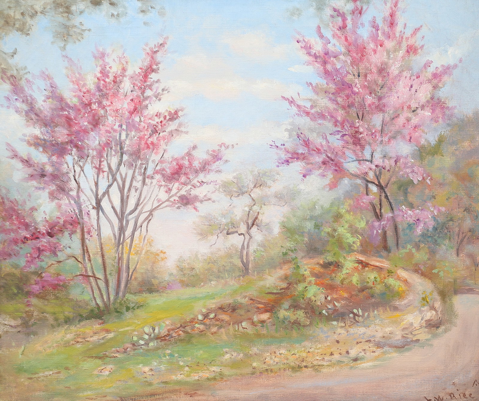 Lucy Rice (Am. 1874-1963), Redbuds in Bloom, oil on canvas: Redbuds in Bloom, oil on canvas, 20 x 24, signed lower right: L. W. Rice, Rice was a well-traveled portraitist who lived and worked in Austin for most of her life. Her body of work also includes lands